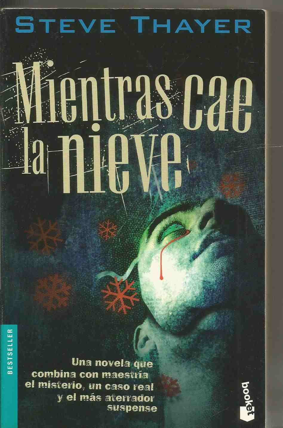 Mientras CAE LA Nieve
