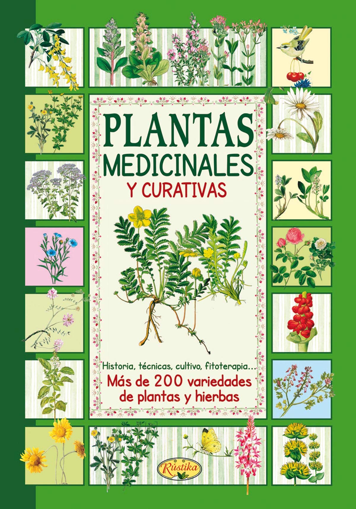 Plantas medicinales y curativas