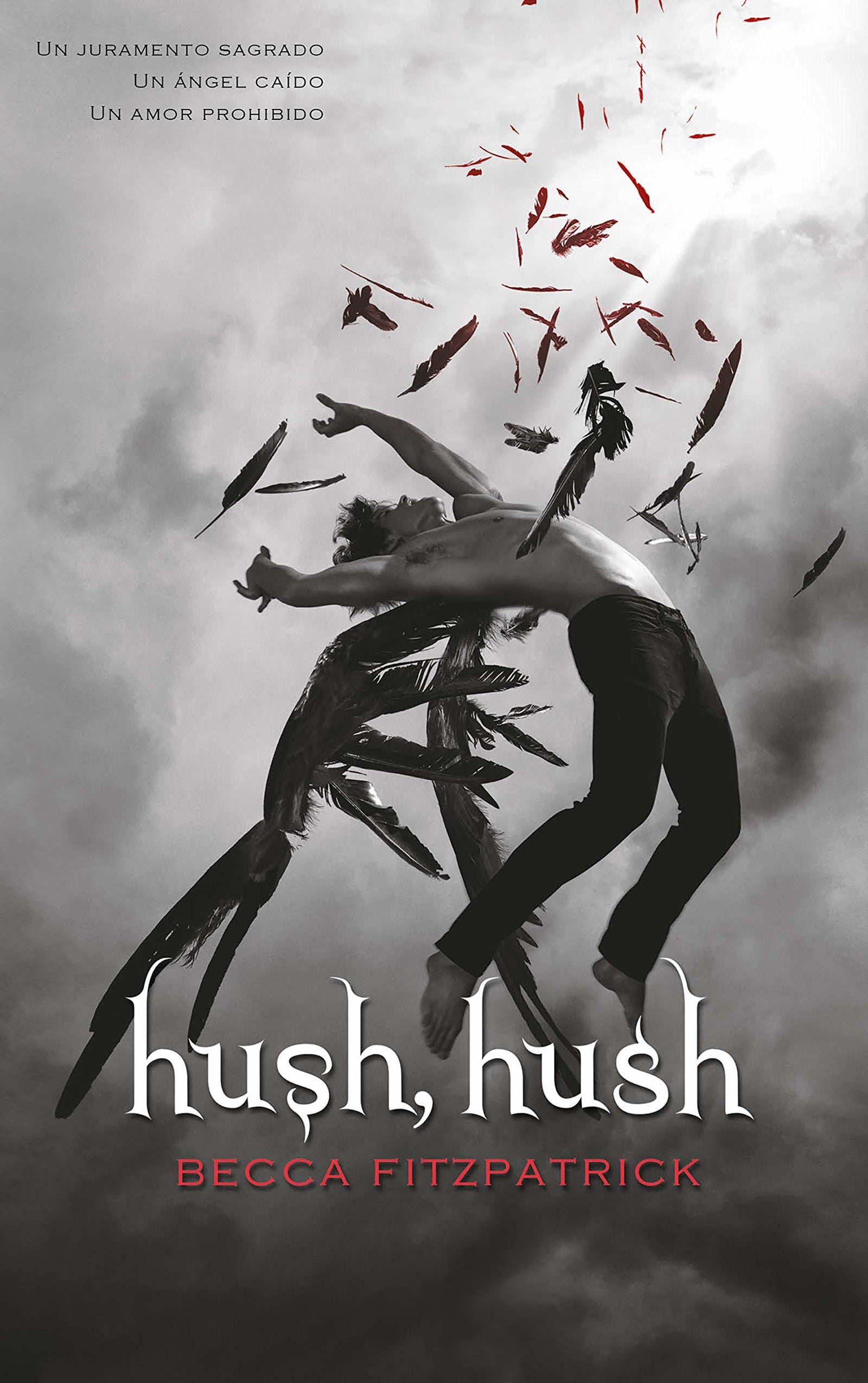 Hush, Hush (Saga Hush, Hush 1) (Sin límites)