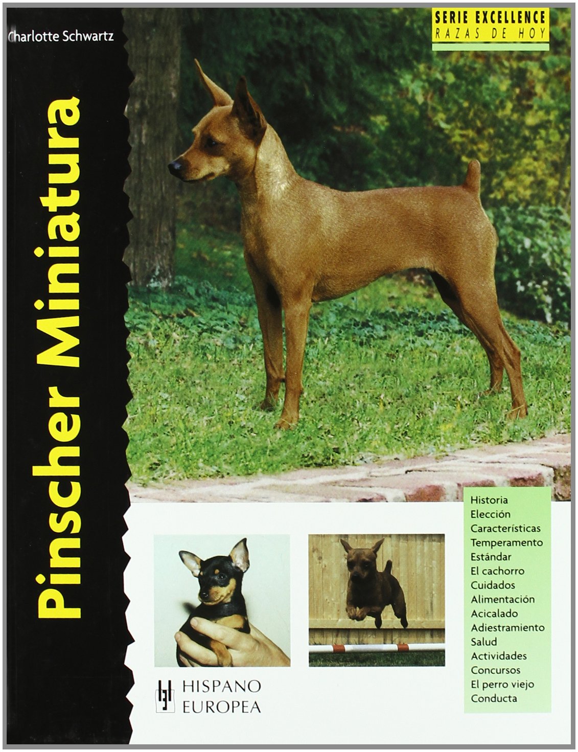 Pinscher Miniatura (Excellence)