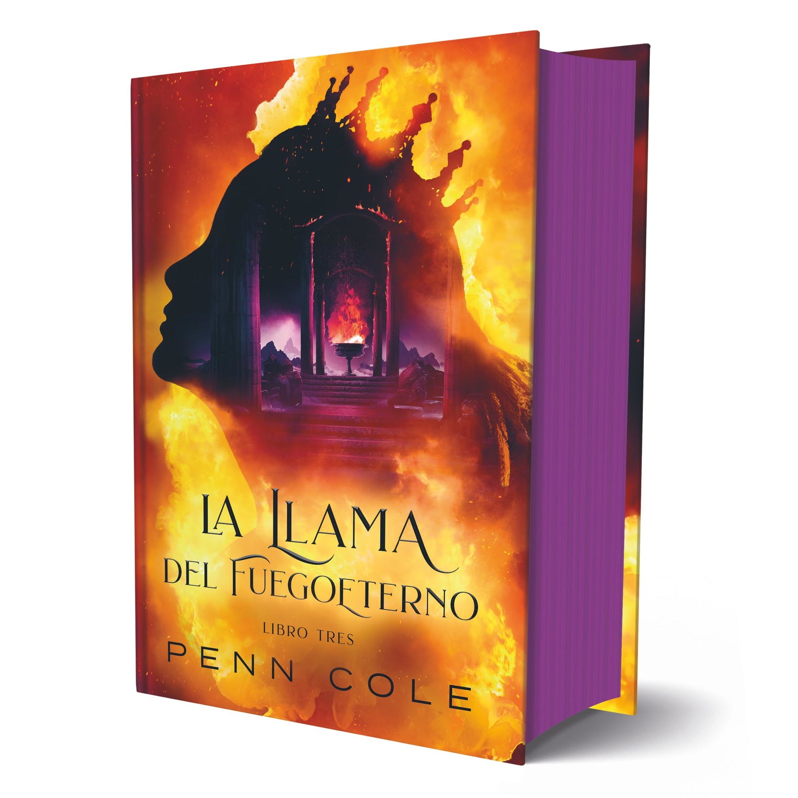 La llama del Fuegoeterno (TBR)