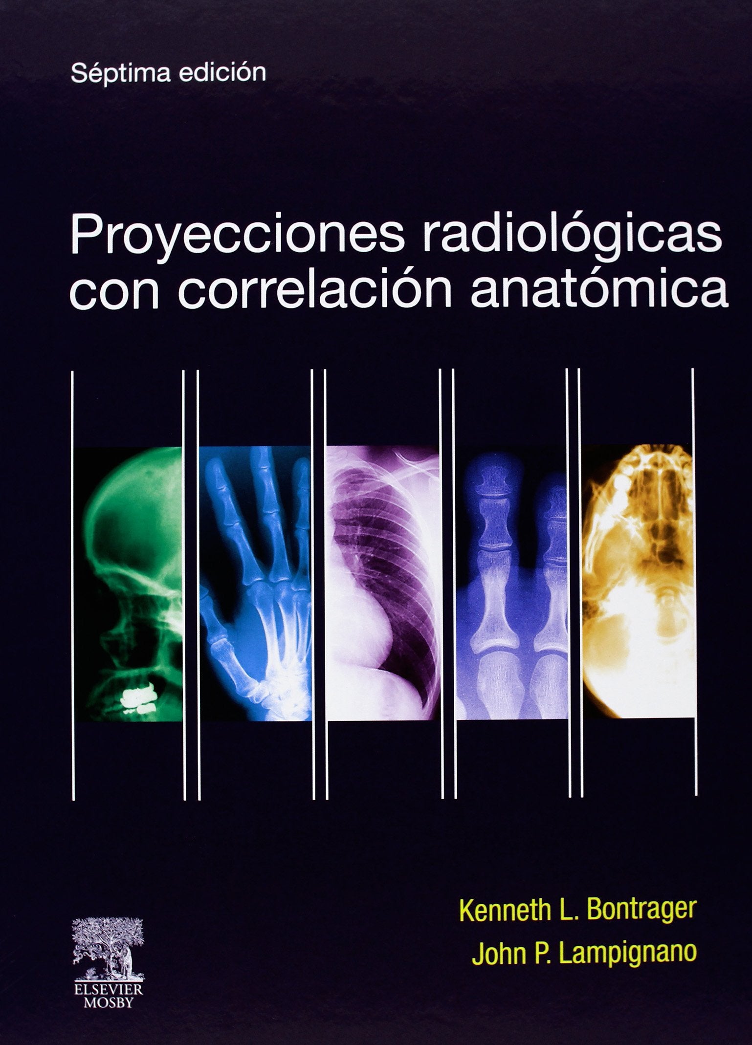 Proyecciones radiológicas con correlación anatómica