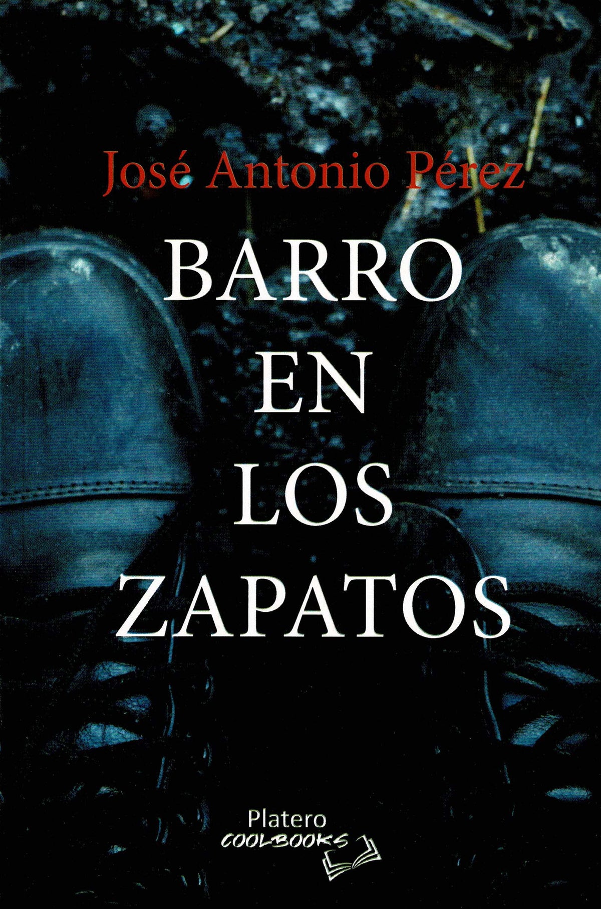 BARRO EN LOS  ZAPATOS
