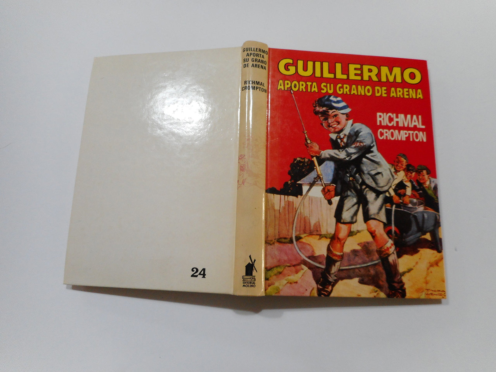 Guillermo aporta su grano de arena