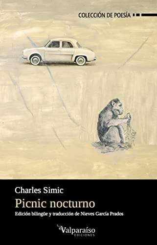 Picnic nocturno: 136 (Colección Valparaíso de Poesía)