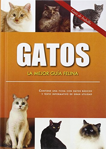 GATOS:MEJOR GUIA FELINA