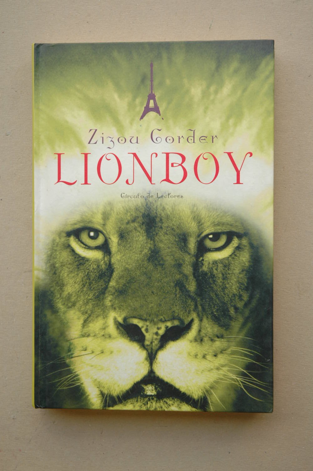 Lionboy
