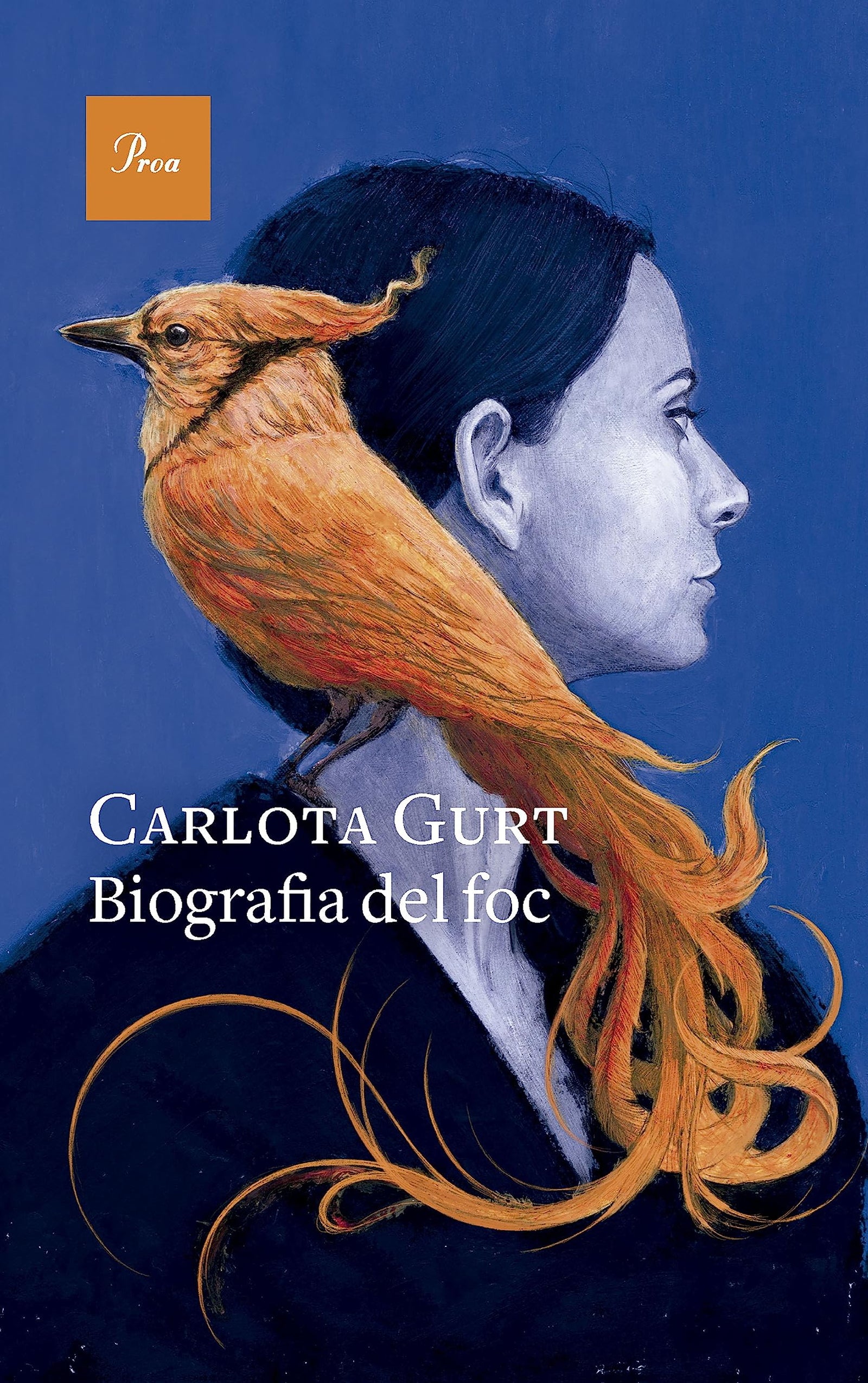 Biografia del foc (A TOT VENT)