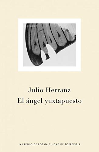 ANGEL YUXTAPUESTO,EL-PLAZA (SIN COLECCION)