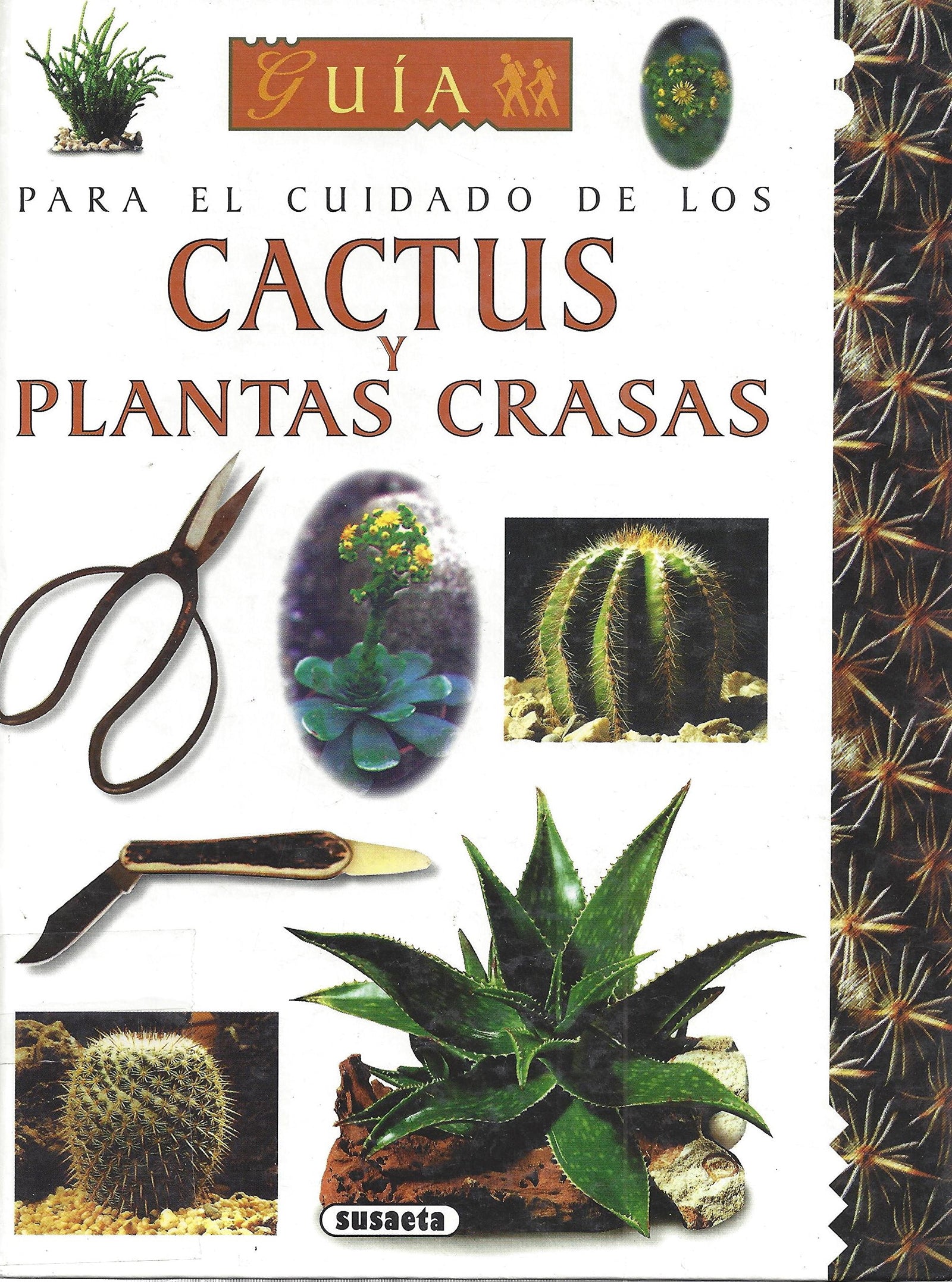 PLANTAS CRASAS Y CACTUS, GUIA CUID. (SIN COLECCION)