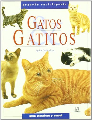 Gatos y gatitos / Cats and Kittens