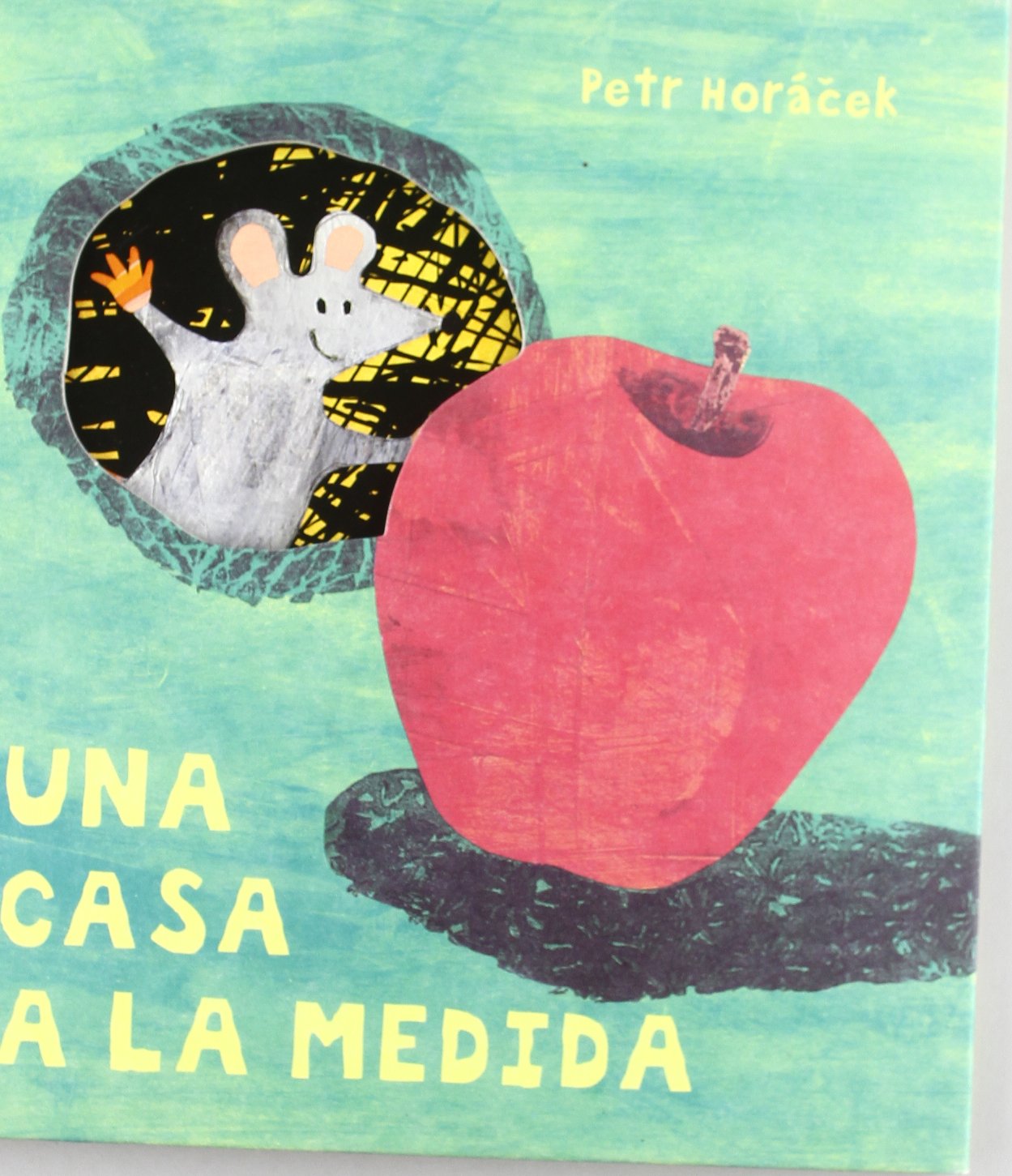 Una casa a la medida (GRANDES ALBUMES ILUSTRADOS)