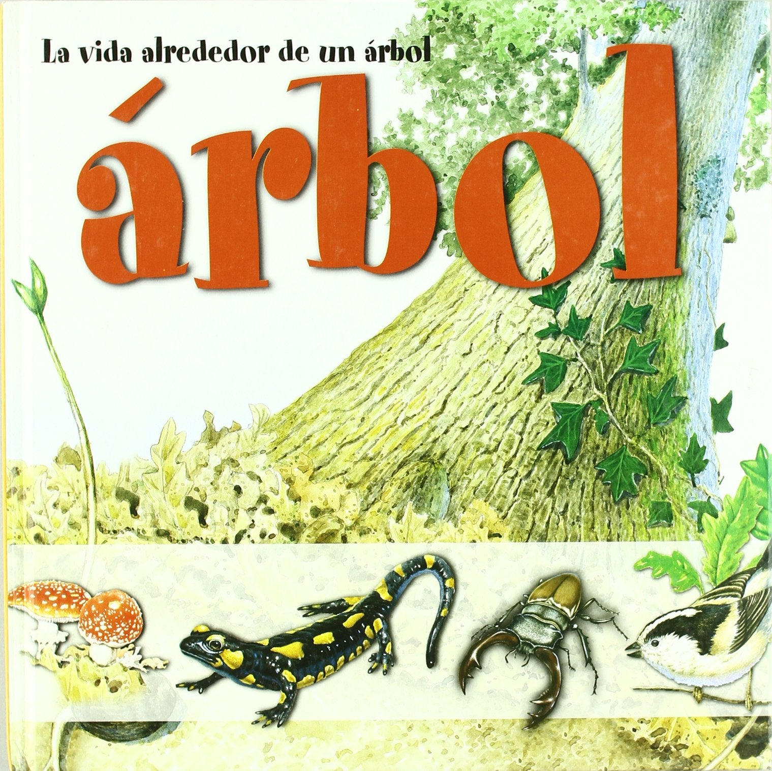 La Vida Alrededor De Un Árbol: Incluye un póster gigante para que puedas jugar a reconocer a los habitantes del gran roble (Otros Naturaleza)
