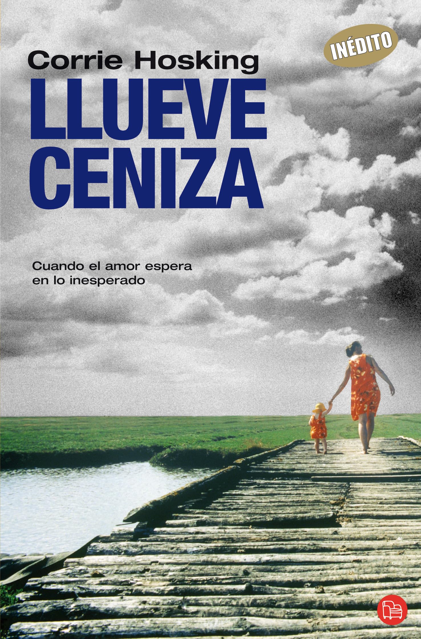 LLUEVE CENIZA FG (FORMATO GRANDE)