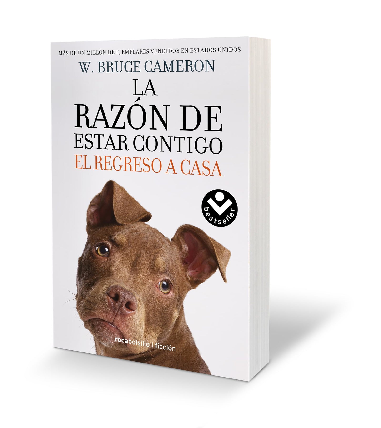La razón de estar contigo. El regreso a casa 1 - El regreso a casa (Best Seller | Ficción)