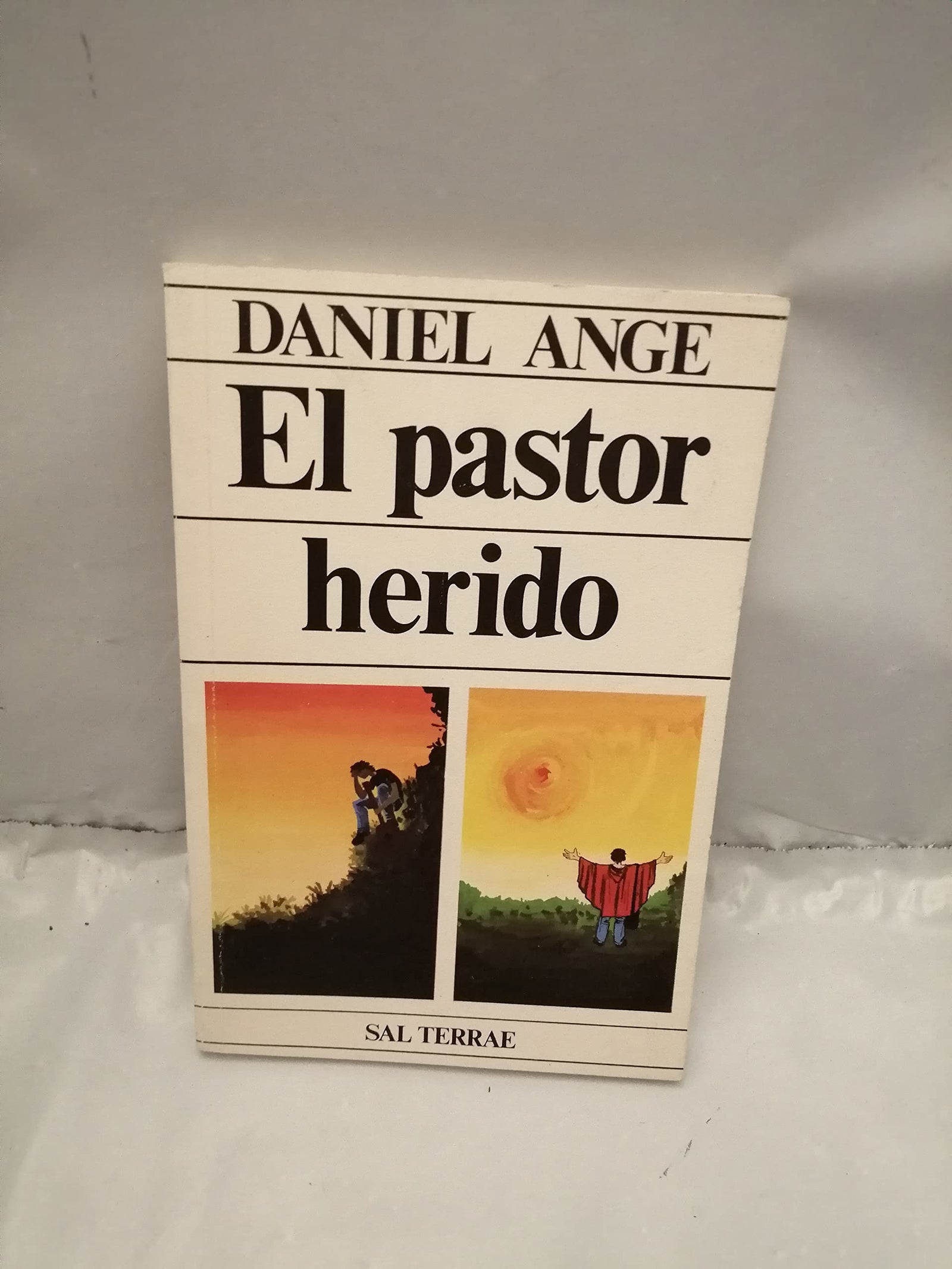 Pastor herido, El