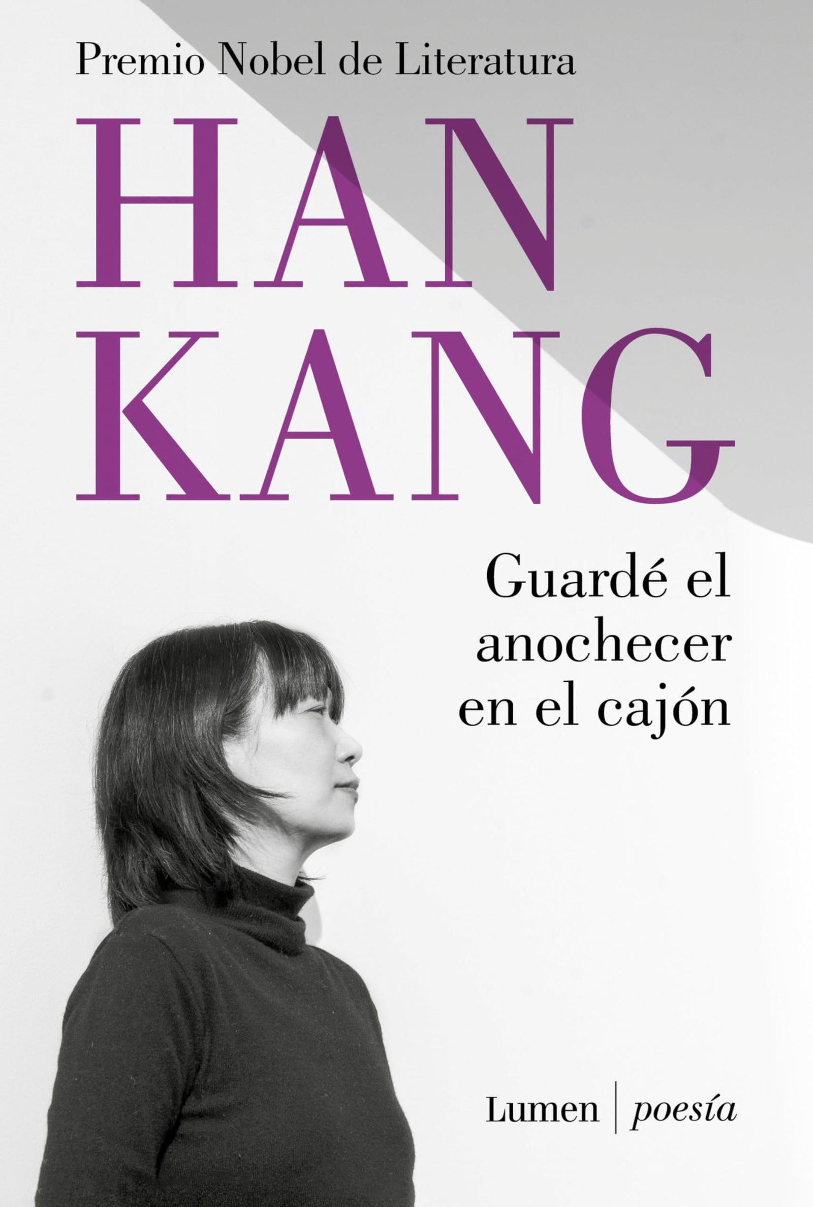 Guardé el anochecer en el cajón (Poesía)