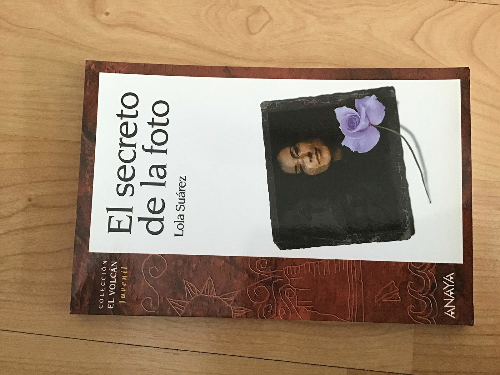 El secreto de la foto / The Secret of Picture (Otras Colecciones)