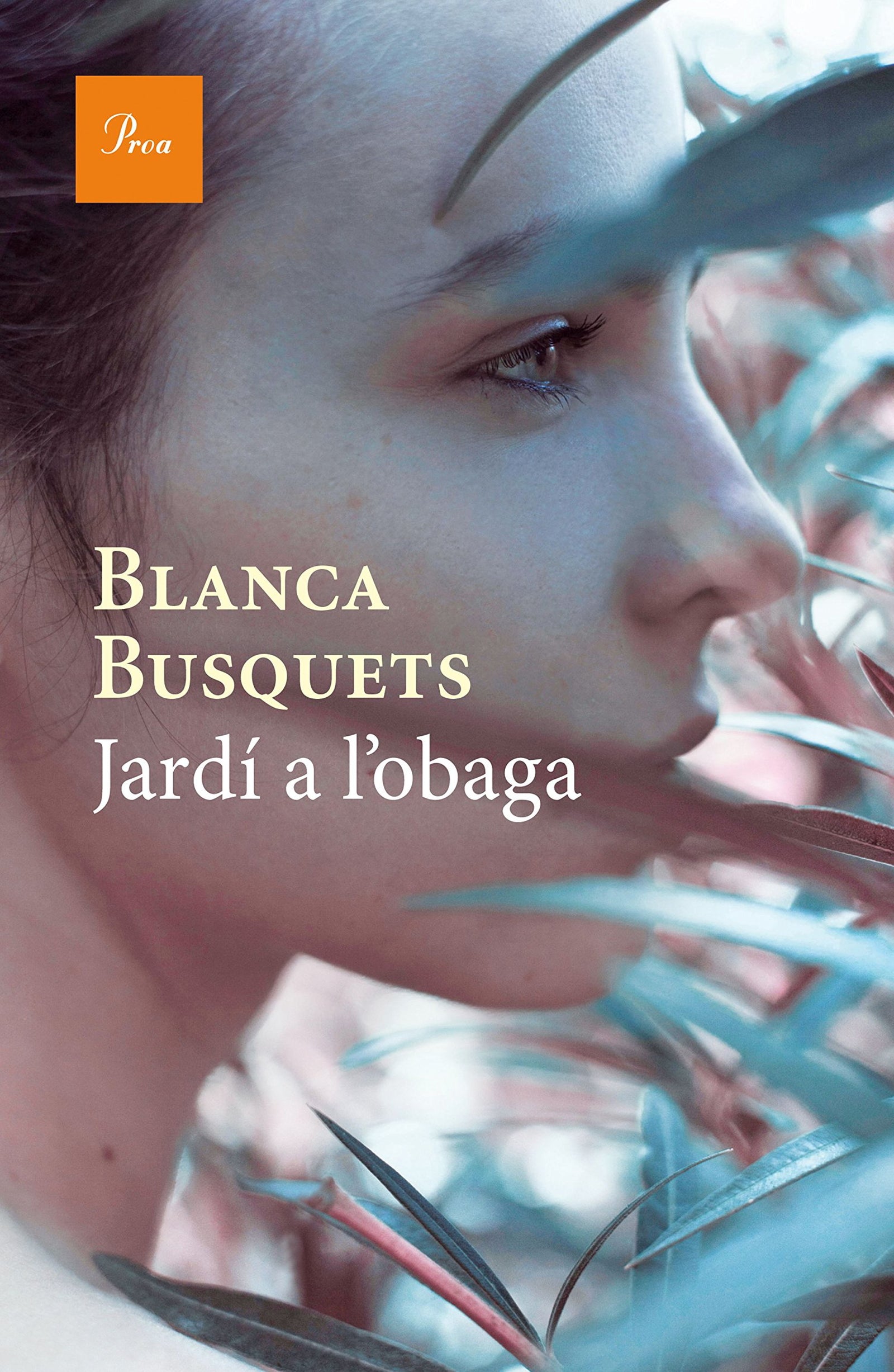 Jardí a l'obaga (A TOT VENT)