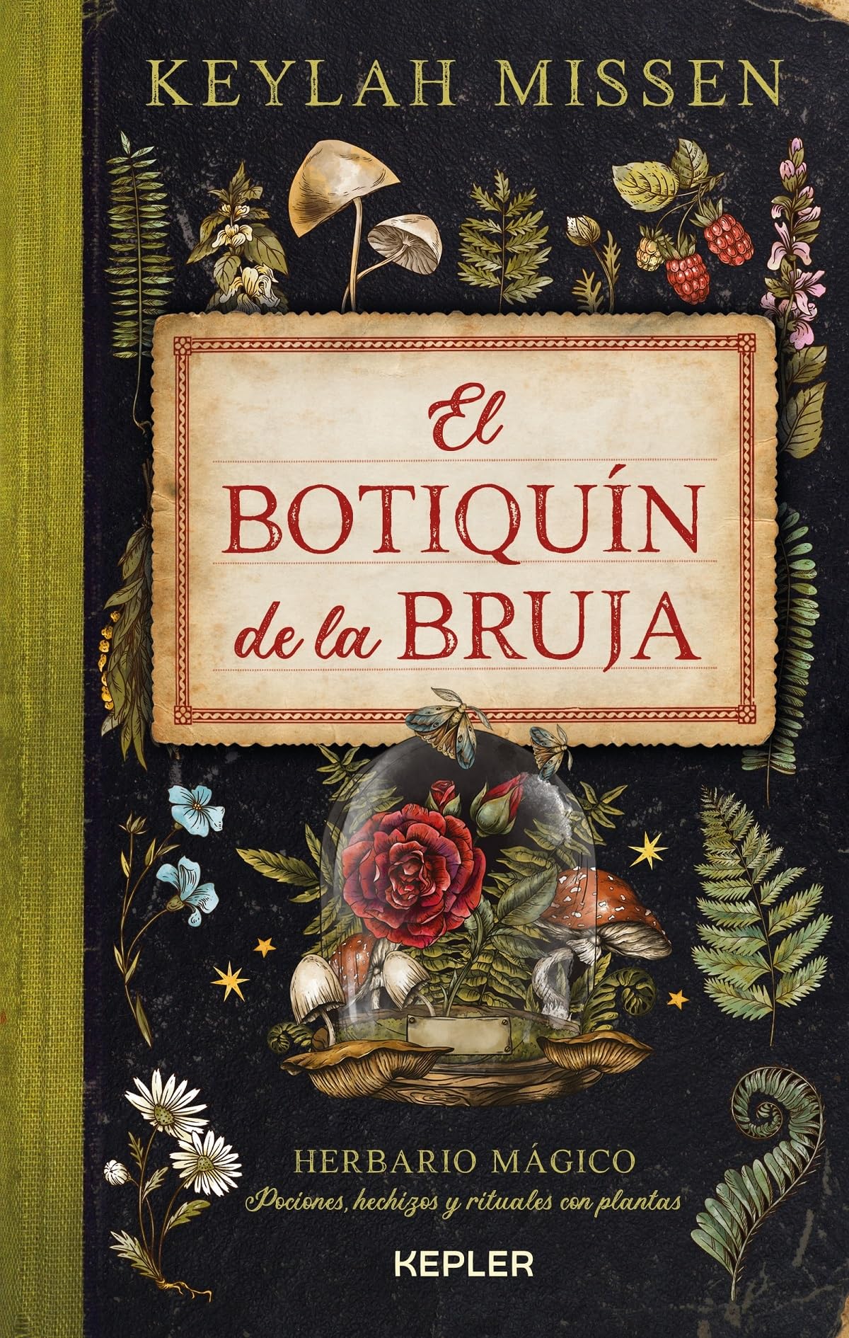 El botiquín de la bruja (Kepler Esoterismo)