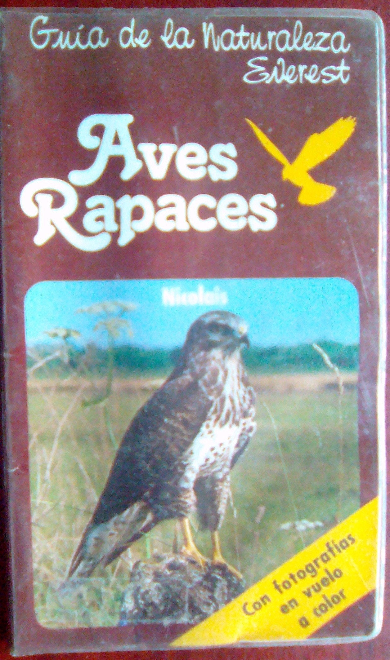 Aves Rapaces (Guías de la naturaleza de bolsillo)