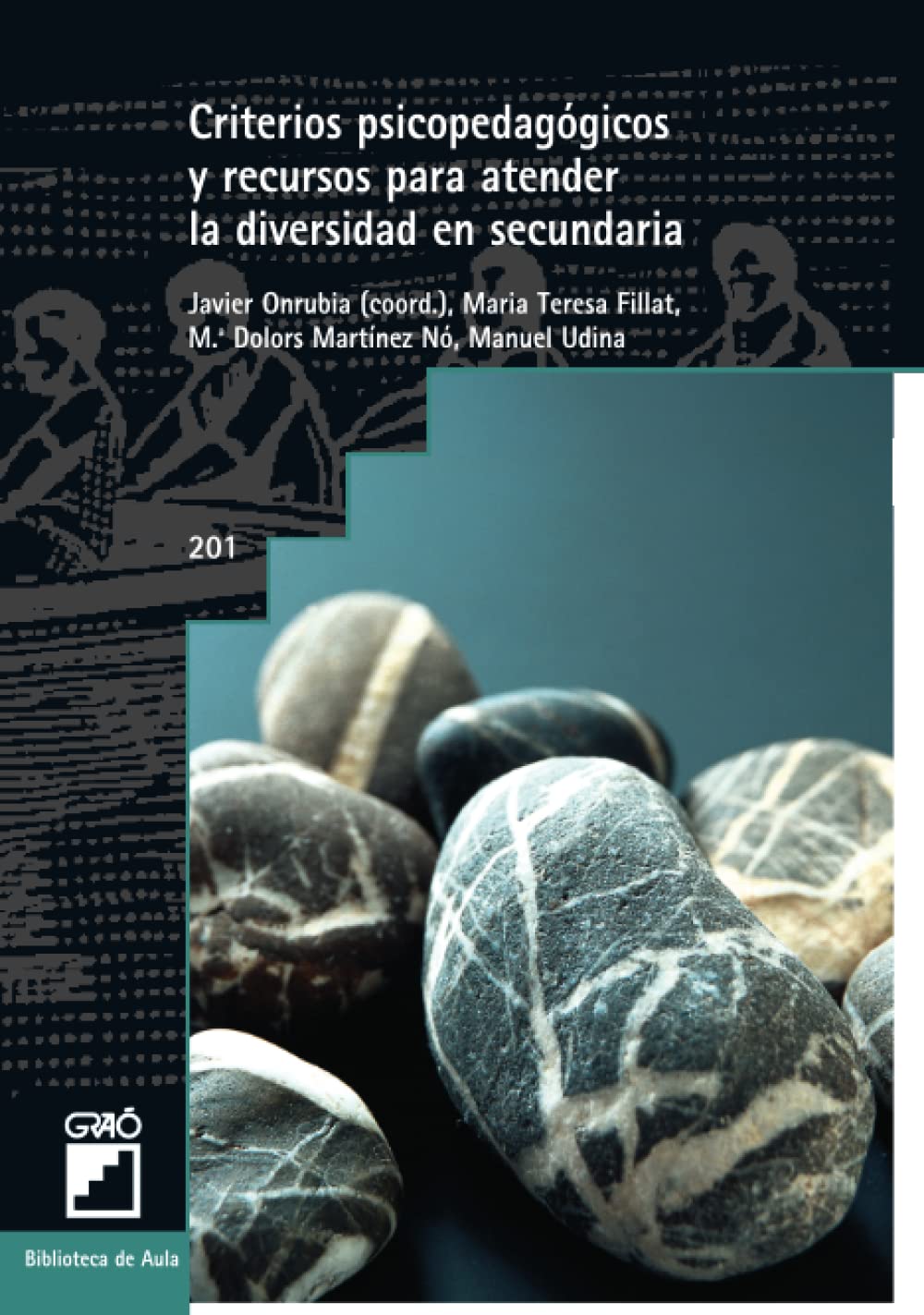 Criterios psicopedagógicos y recursos para atender la diversidad en secundaria
