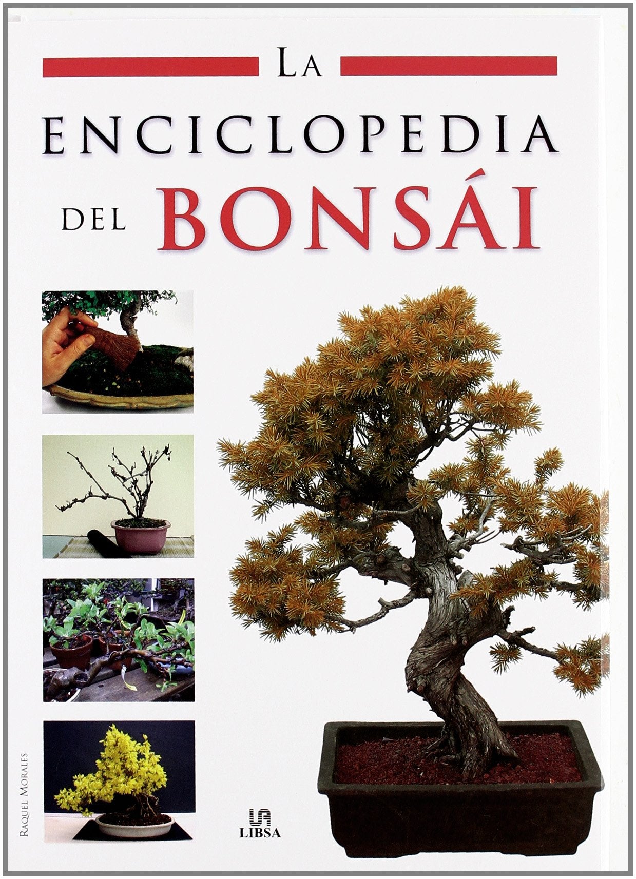 La Enciclopedia del Bonsái (Enciclopedias Libsa)