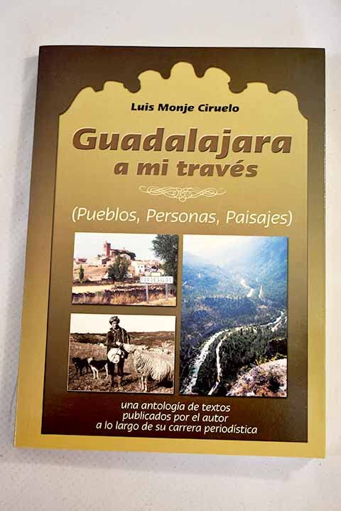 Guadalajara a mi través