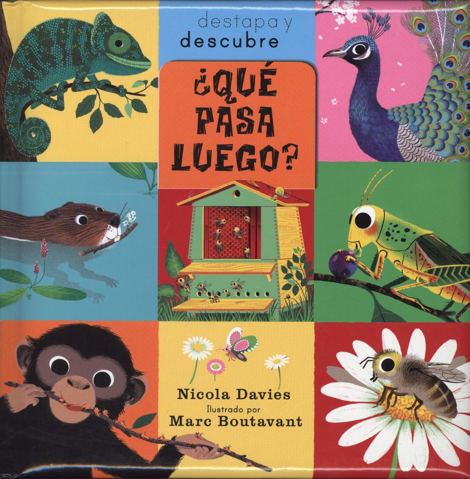 ¿Qué pasa luego? (DESTAPA Y DESCUBRE)