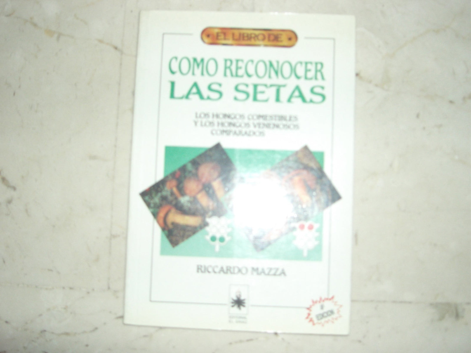 Como reconocer las setas