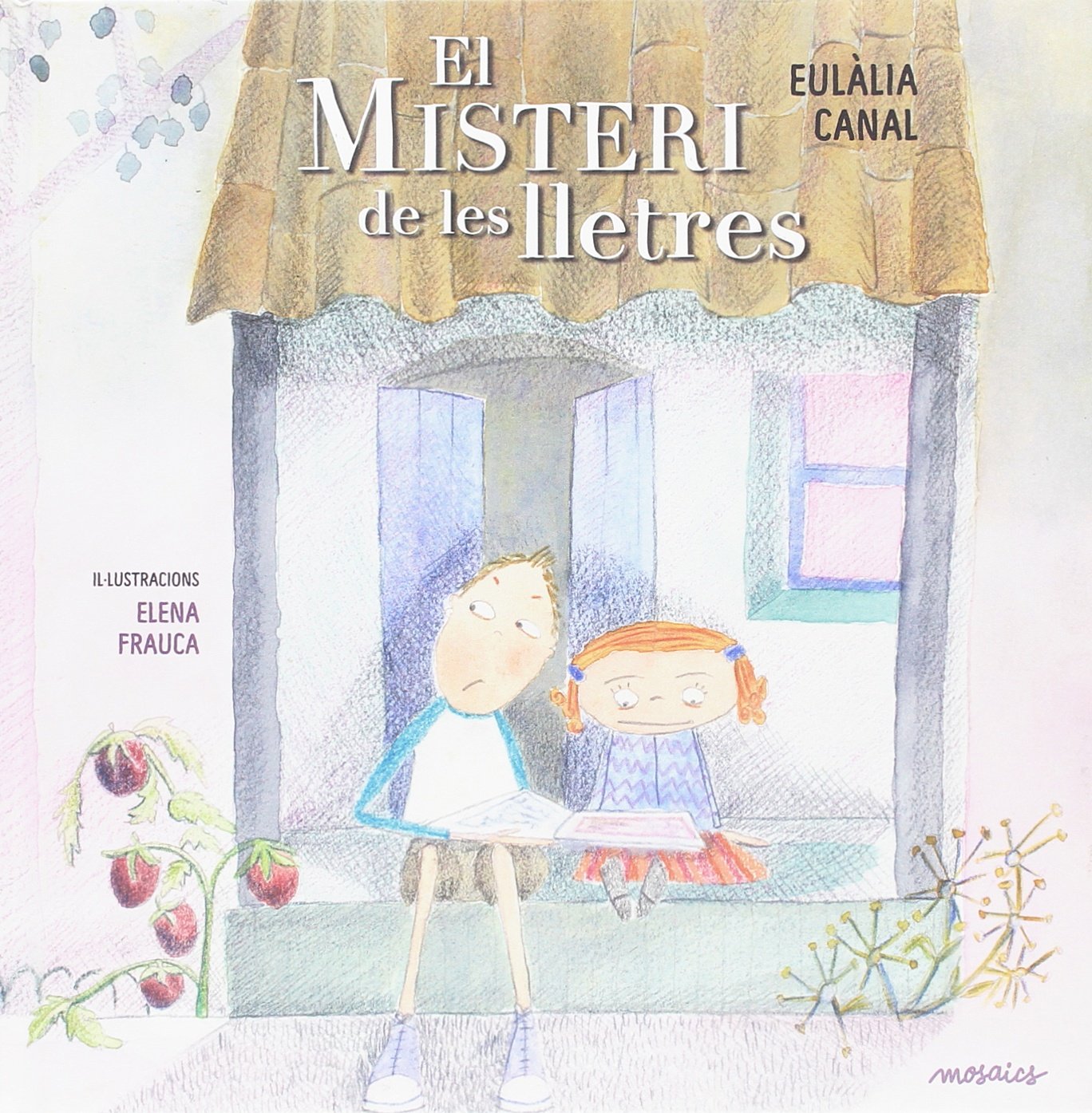 Misteri de les lletres, El (Taronja)
