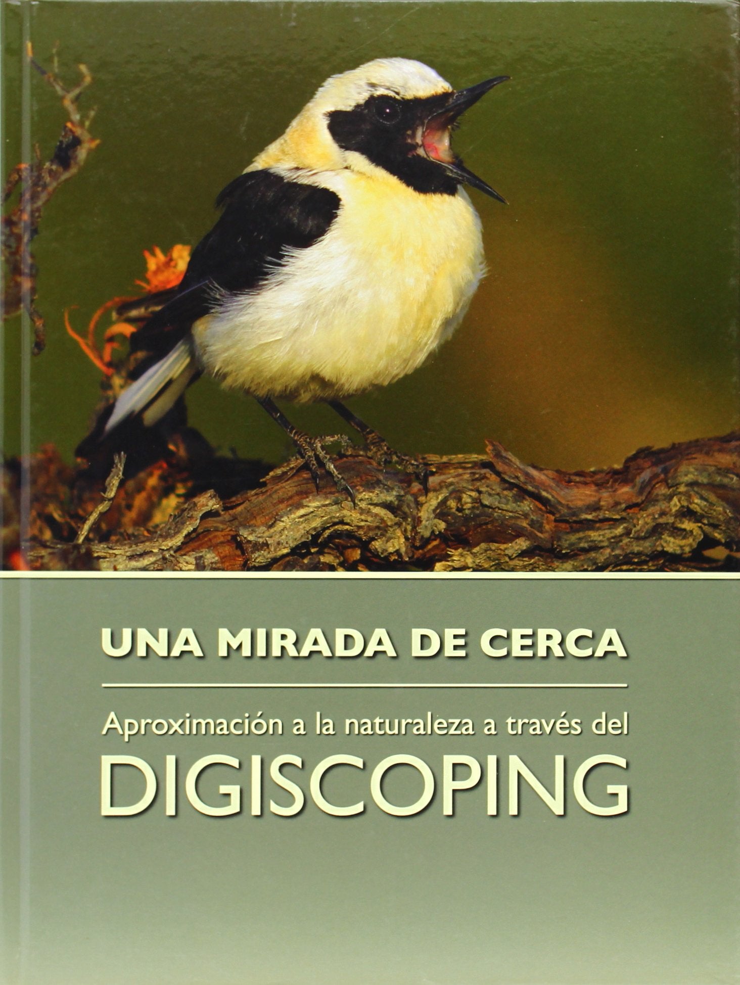 Una mirada de cerca : aproximación a la naturaleza a través del digiscoping