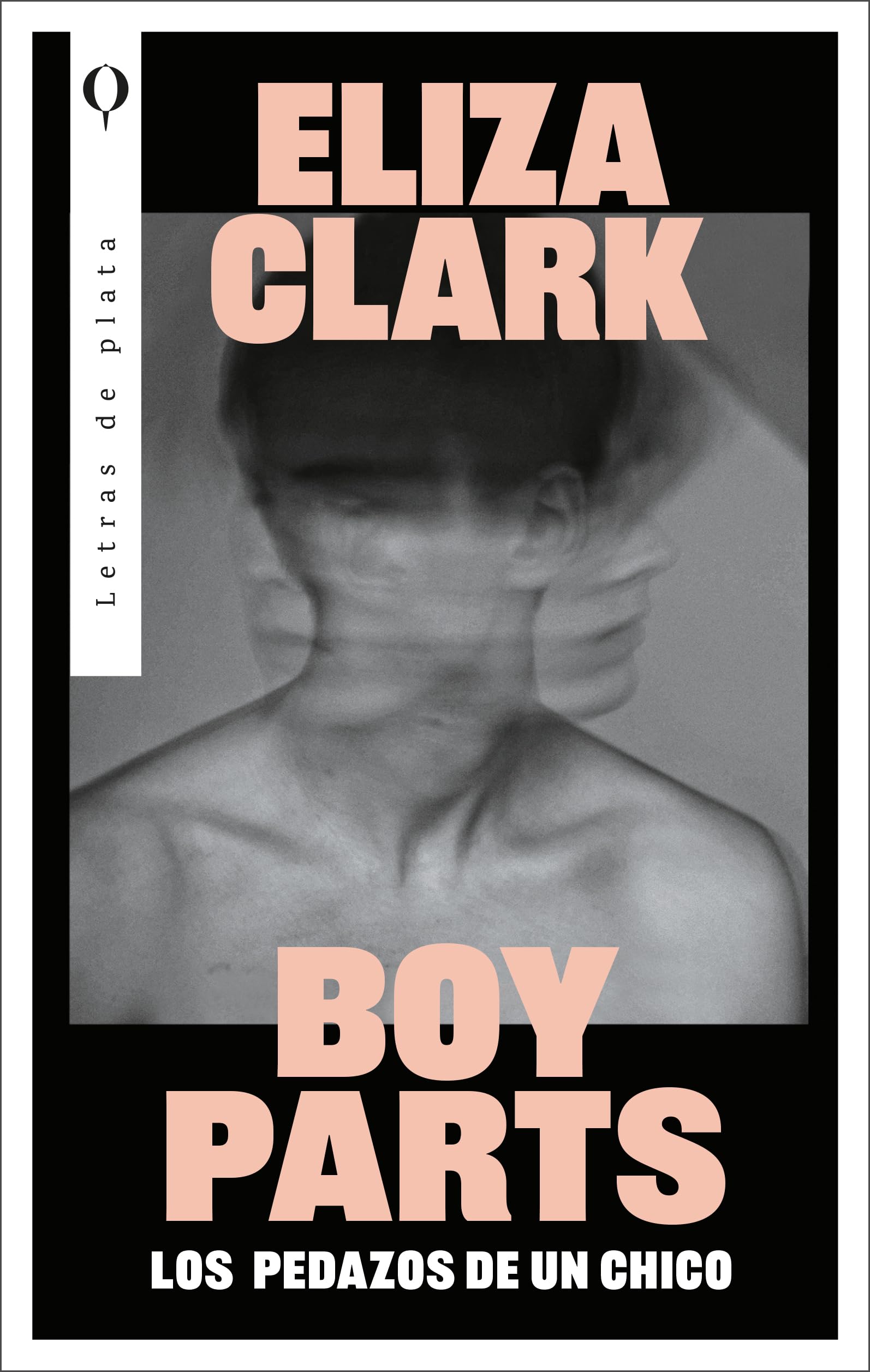 Boy Parts: Los pedazos de un chico (Plata)