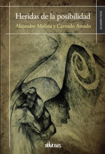 HERIDAS DE LA POSIBILIDAD