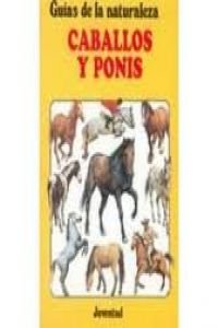 CABALLOS Y PONEIS GN