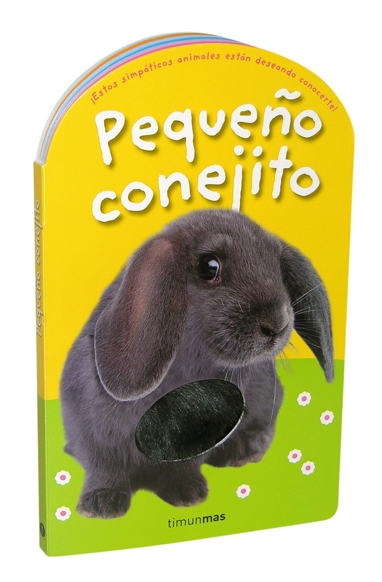 Pequeño conejito: Con texturas en el interior (Libros con texturas)