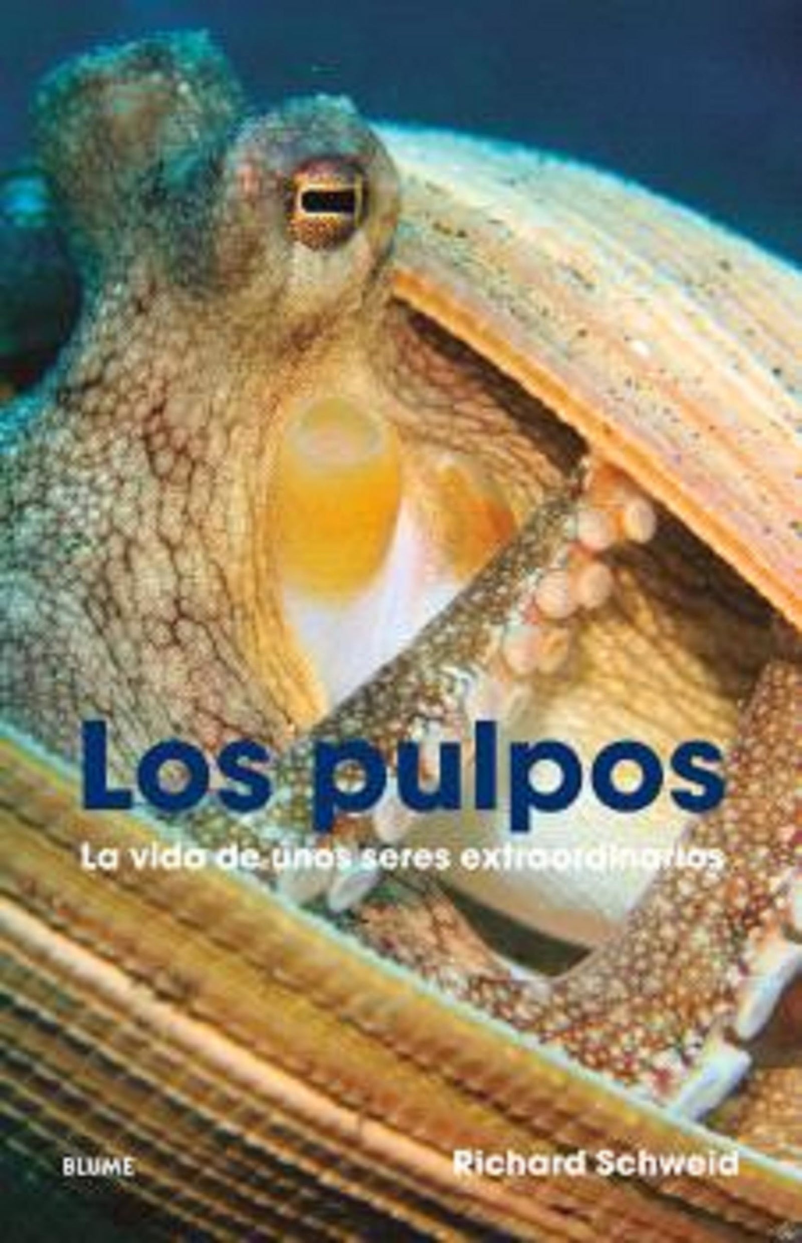 Los pulpos: La vida de unos seres extraordinarios