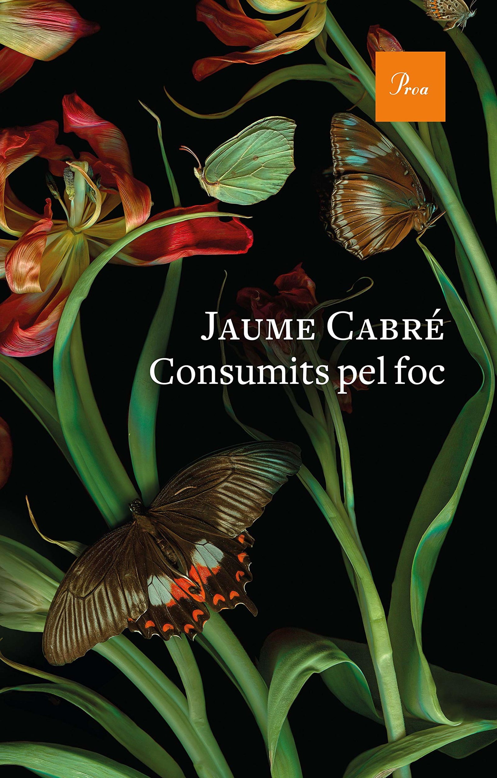 Consumits pel foc: 745 (A TOT VENT)