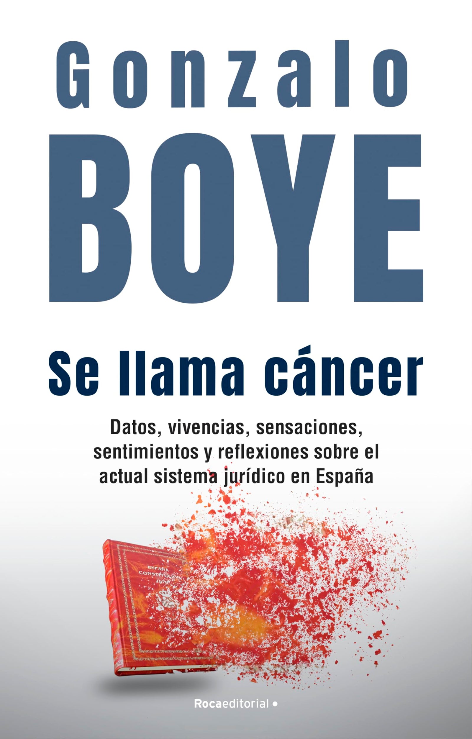 Se llama cáncer: Datos, vivencias, sensaciones, sentimientos y reflexiones sobre el actual sistema jurídico en España (No ficción)