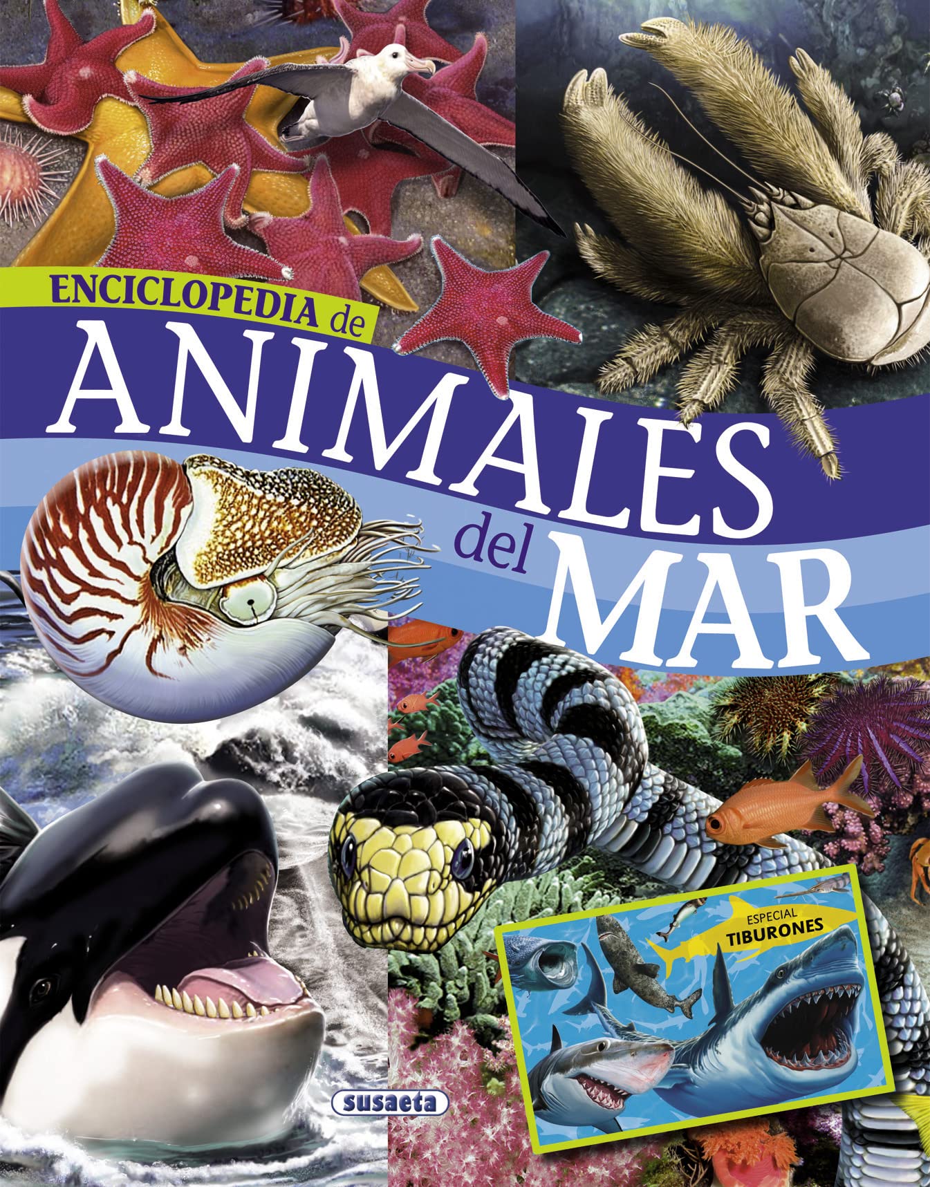 Animales del mar (Biblioteca esencial)