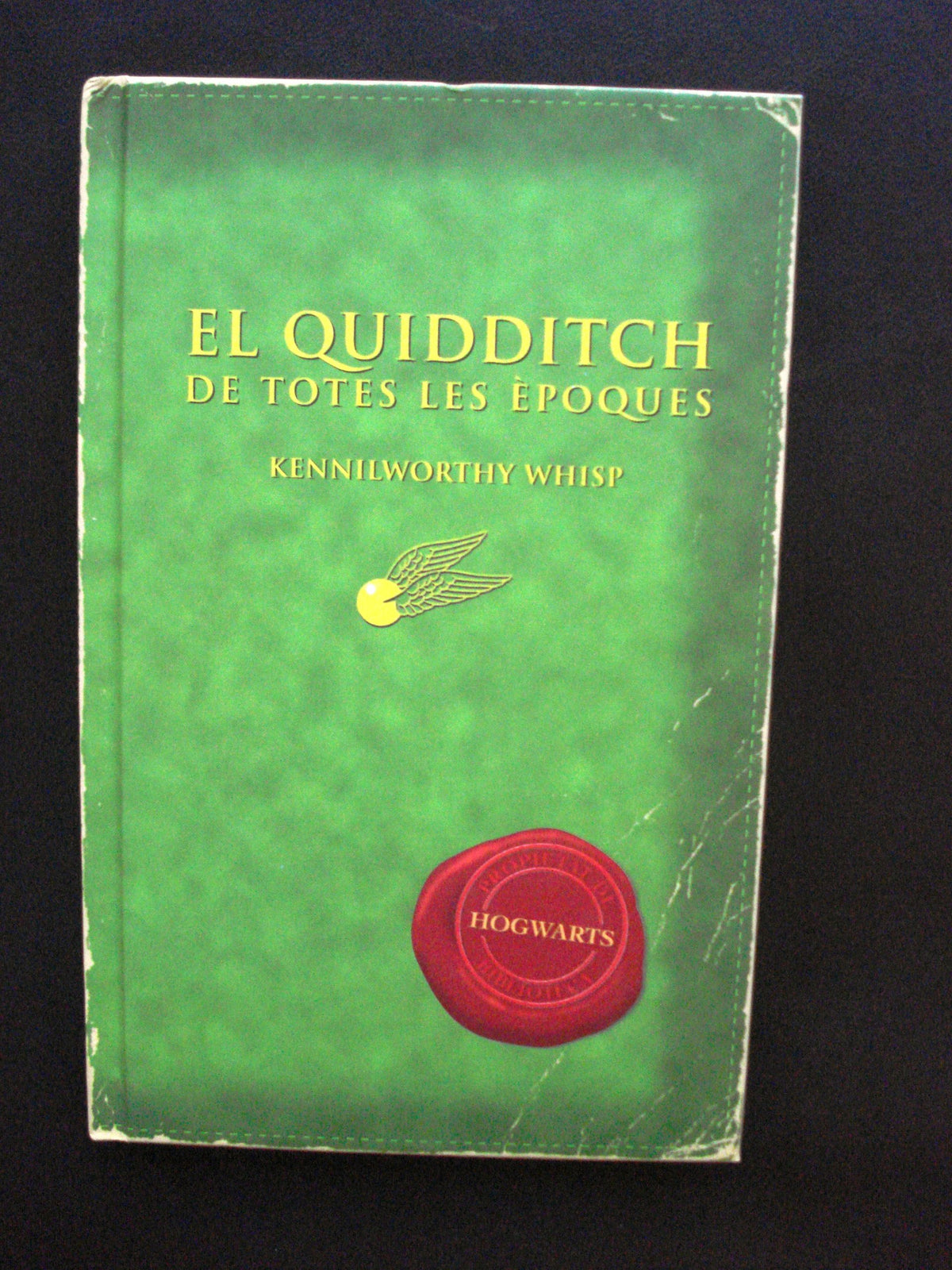 El quidditch de totes les èpoques