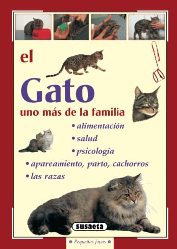 El gato