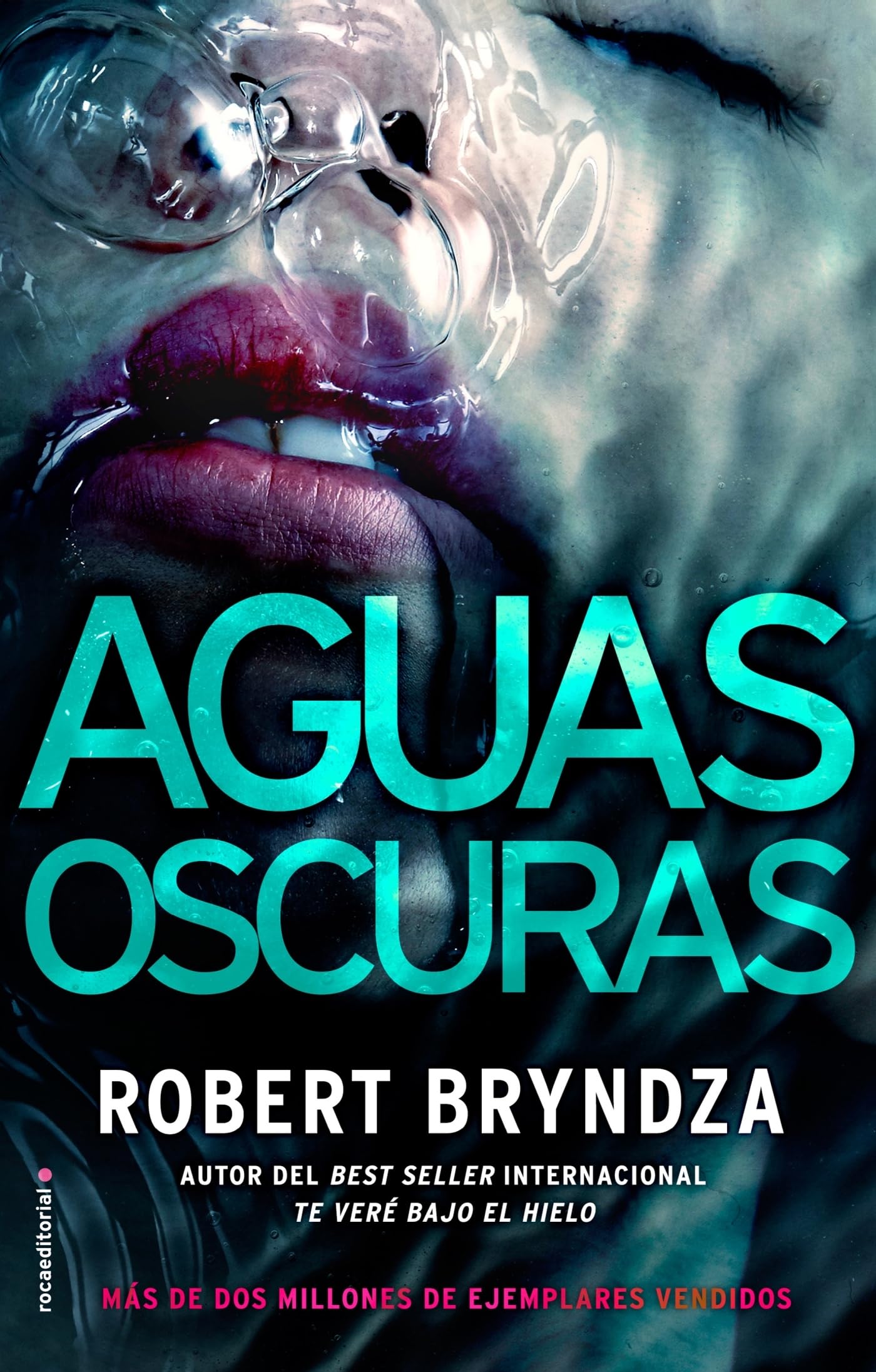 Aguas oscuras (Serie Erika Foster 3) (Thriller y Suspense)