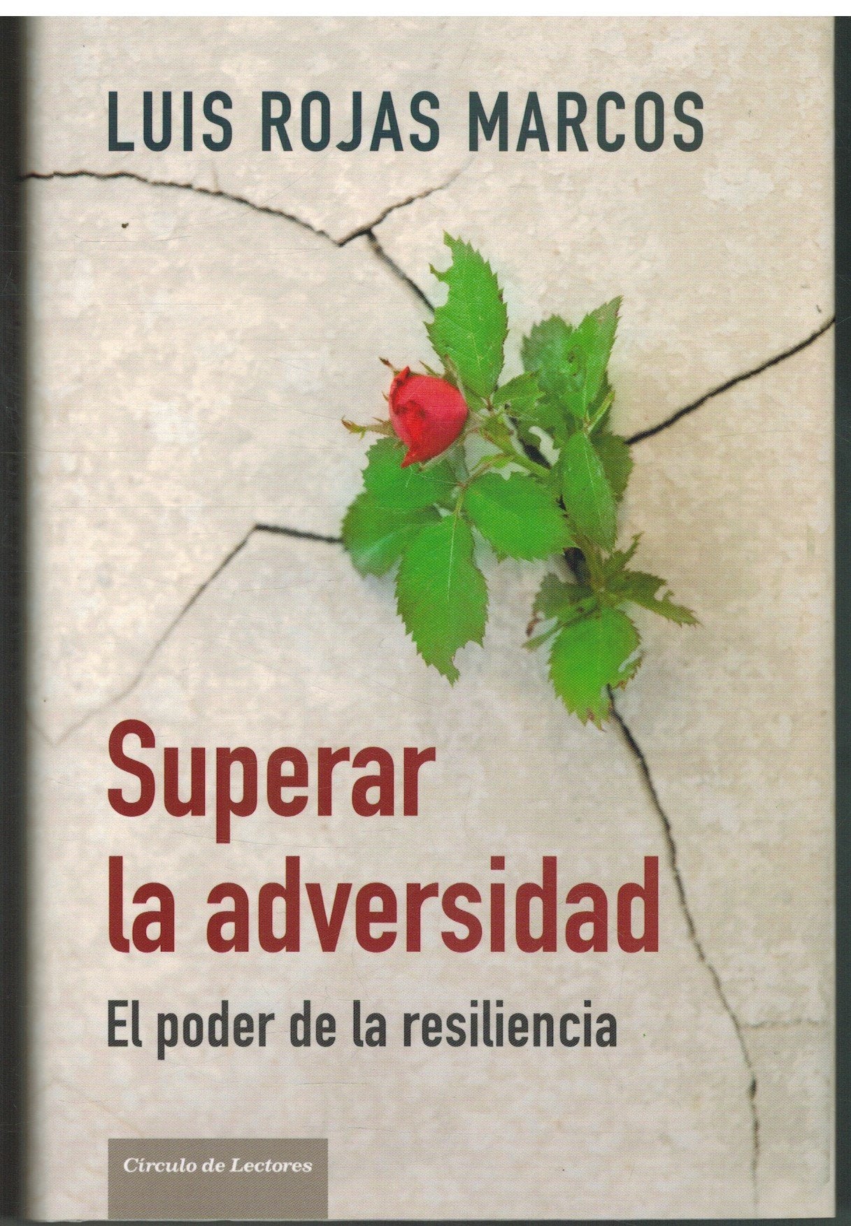 Superar La Adversidad. El Poder De La Resiliencia