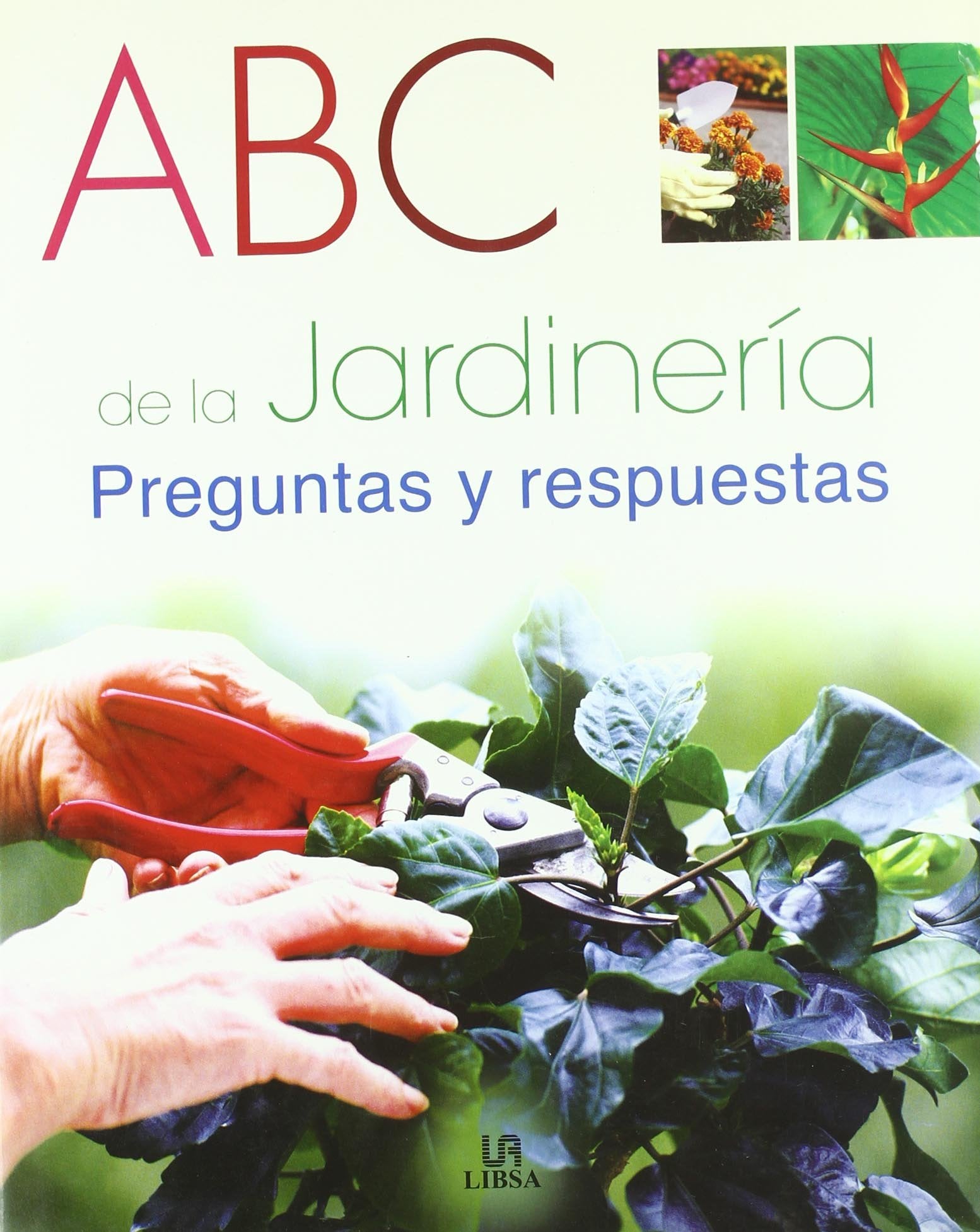 Abc de la Jardinería: Preguntas y Respuestas (Plantas de Interior y Jardín)