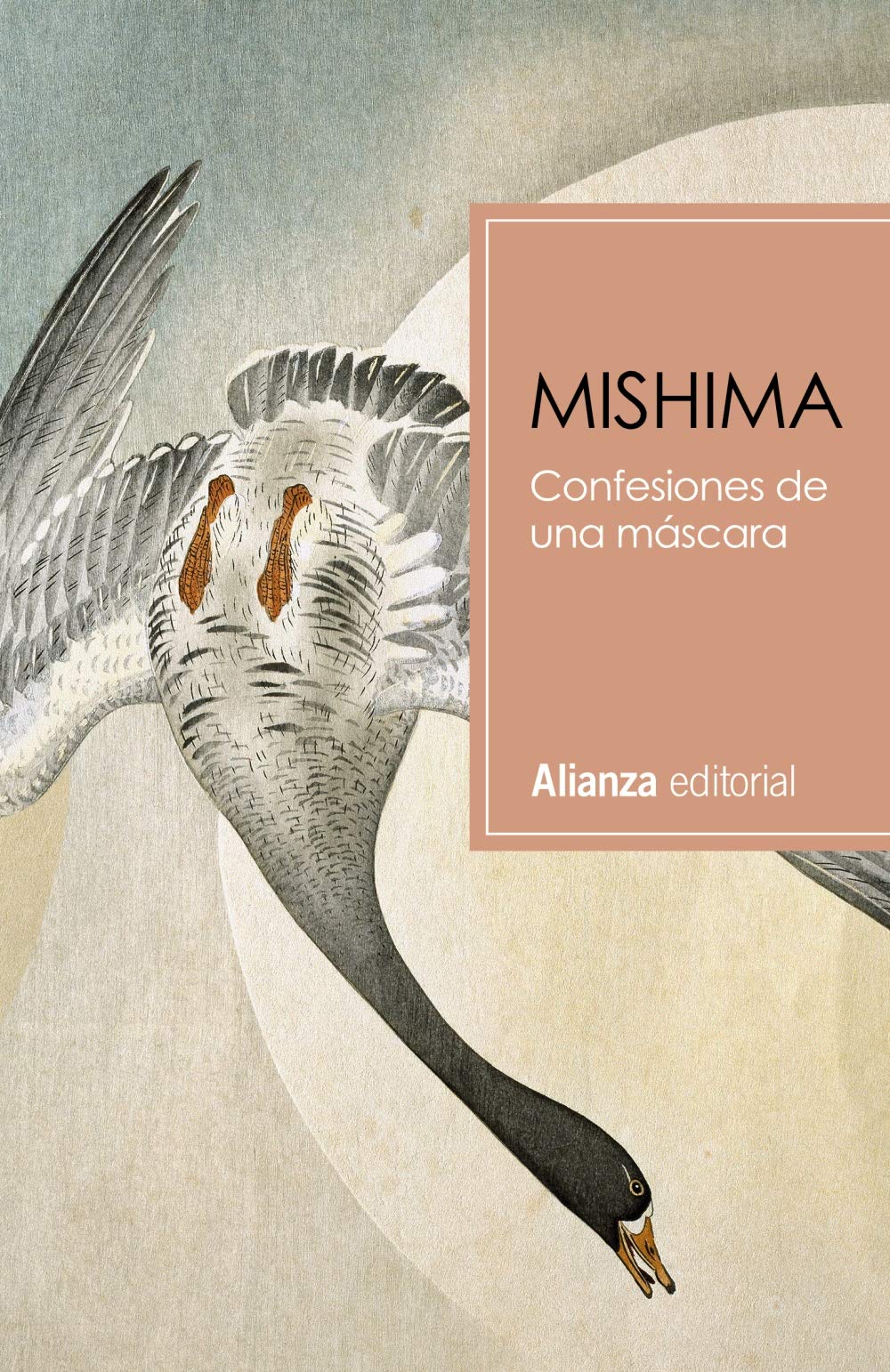 Confesiones de una máscara (13/20)