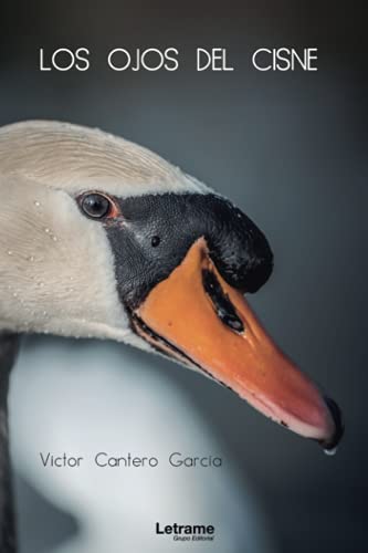 Los ojos del cisne: 1 (Novela)
