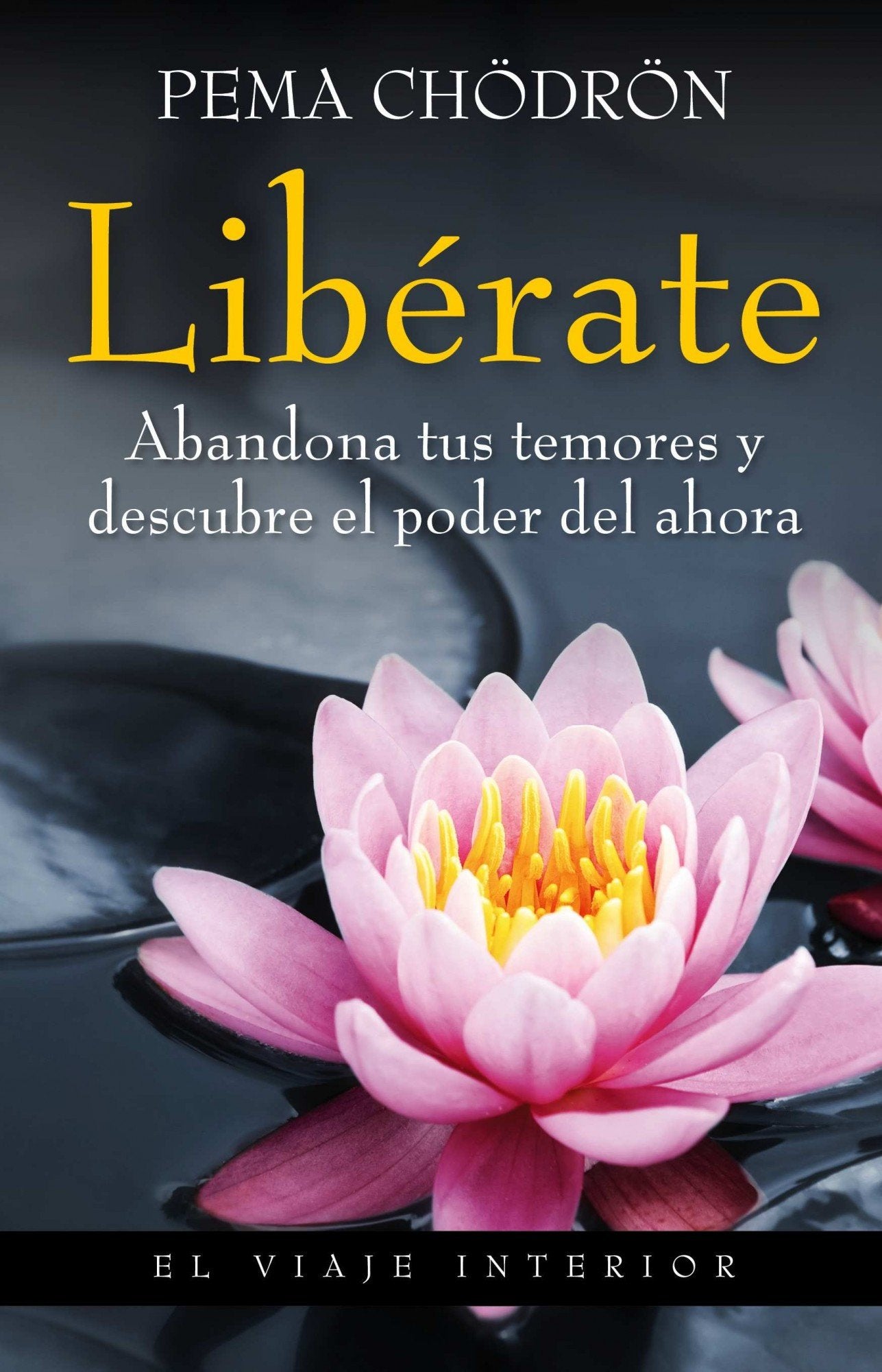 Libérate: Abandona tus temores y descubre el poder del ahora (El Viaje Interior)