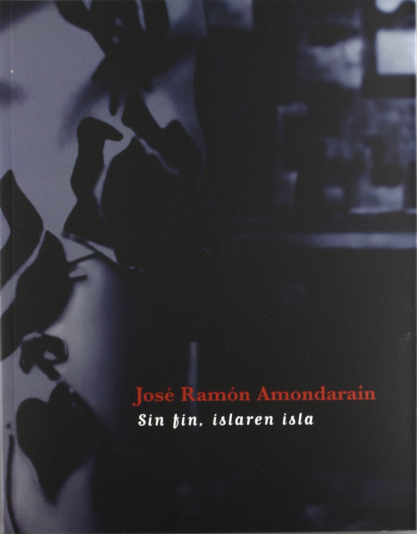 José Ramón Amondarain, Sin fin, islaren isla
