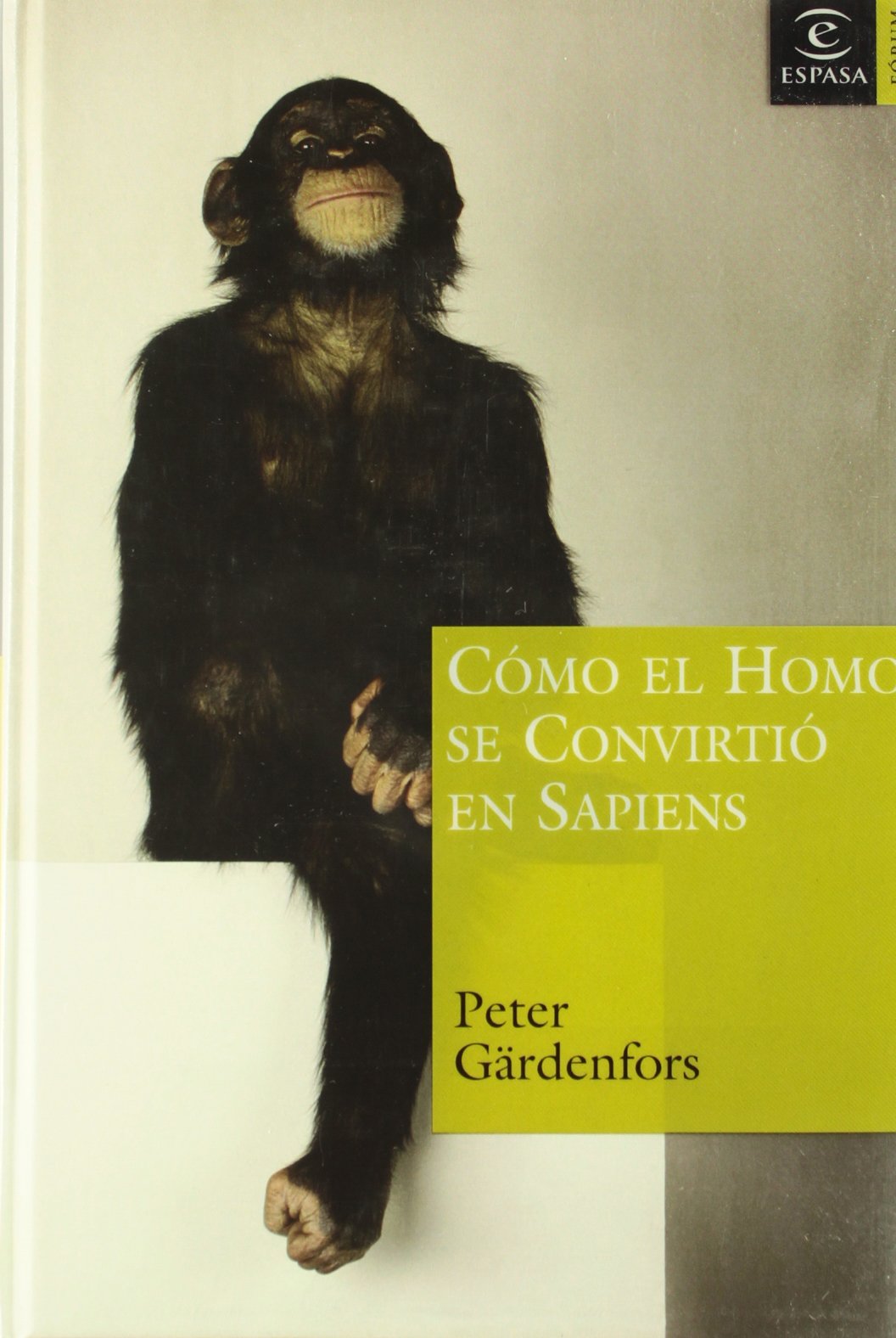 COMO EL HOMO SE CONVIRTIO EN SAPIENS (SIN COLECCION)